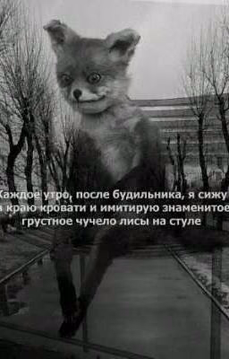 Мой сосед