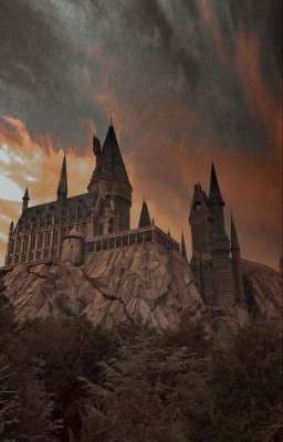 назад в прошлое