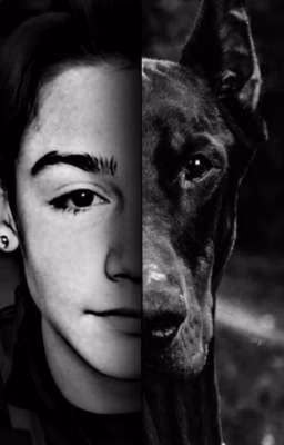 Доберман