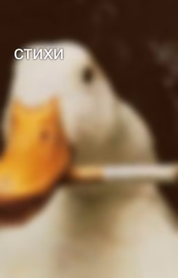 стихи