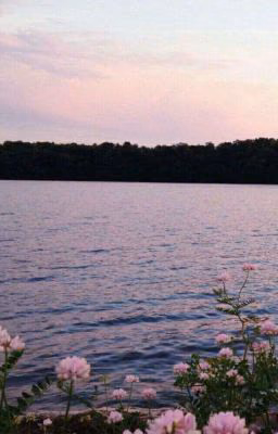🌸Сохранёнки🌸