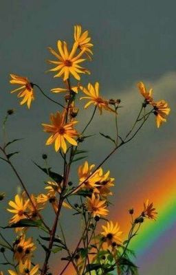 Пошло что-то не так(ЗАМОРОЖЕН)