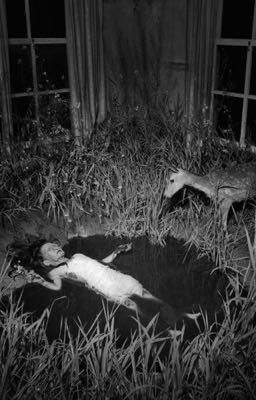 ПОКАЖИ МНЕ СЕБЯ