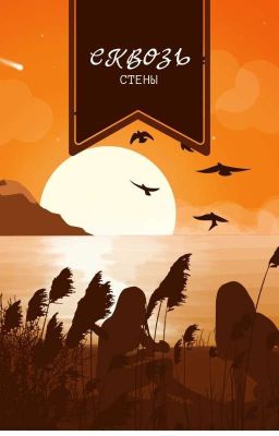 Сквозь стены