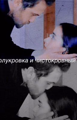 Полукровка и чистокровный 2