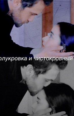 Полукровка и чистокровный 2