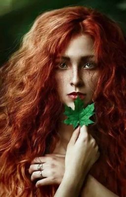 Свой - чужой мир