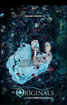 Академия магии для парней