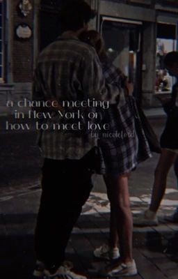 a chance meeting in New York or how to meet love