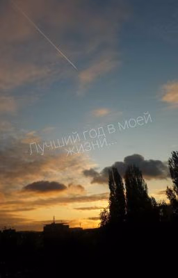 -Лучший год в моей жизни...