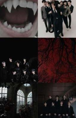 Академия вампиров 