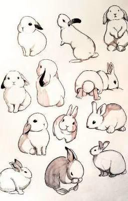 рисунки