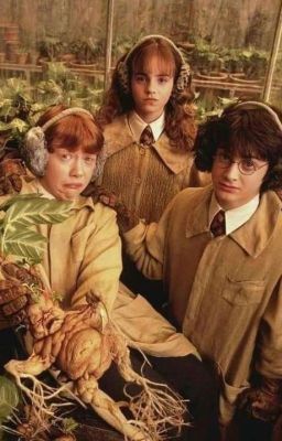 Письма и истории по Гарри Поттеру