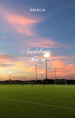 Любовное поле