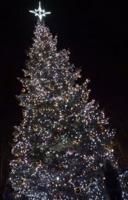 Рождественская звезда🌟🎄