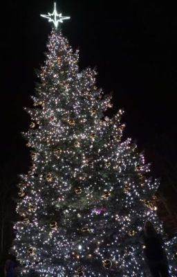 Рождественская звезда🌟🎄