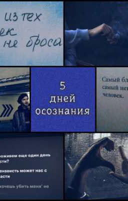 Пять дней осознания 