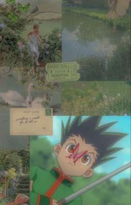 ~{Новая жизнь}~(Хантер Х Хантер)