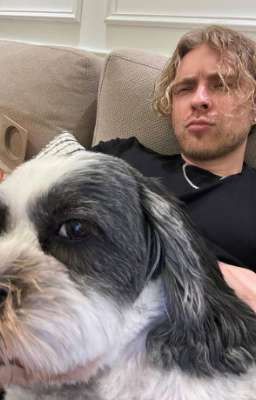 Ночь веселья