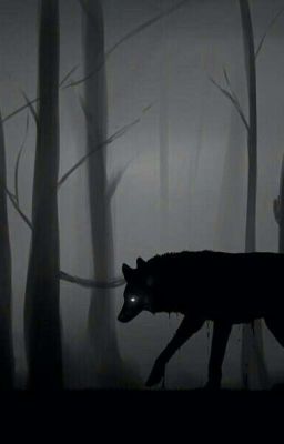 Между светом и тьмой