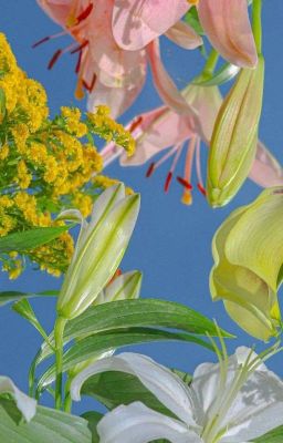 °•сборник моих стихотворений°•