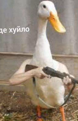 Новая История Пташек🐦 Книга II