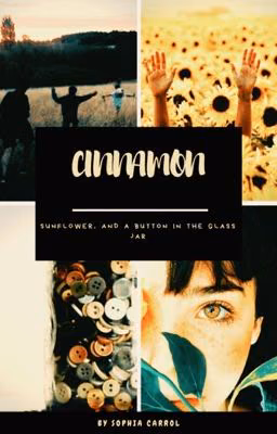 Cinnamon, sunflower and a button in the glass jar