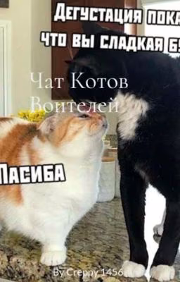 Чат Котов Воителей.[ЗАМОРОЖЕНО]