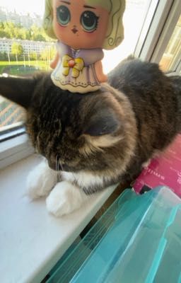 судьба макара и вани