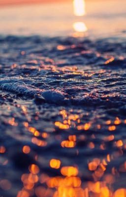 Тайный поклонник/ЛедиБаг и Кот Нуар💕