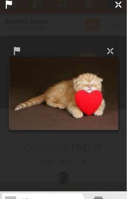 для фанфиков