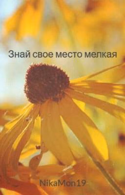Знай  свое место, мелкая