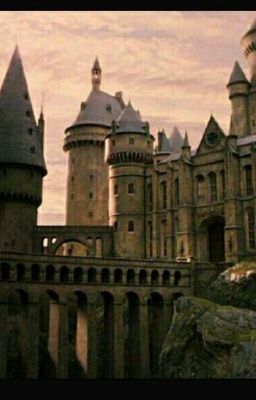 Типичная Академия Магии