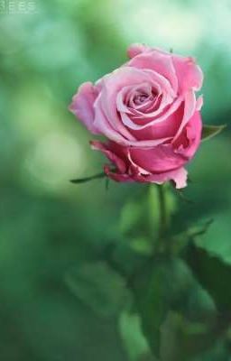 Шёпот наших тайн.