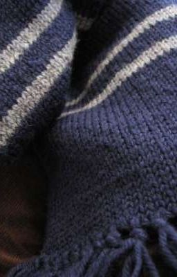 Шарф и ягоды - ТуЧаны