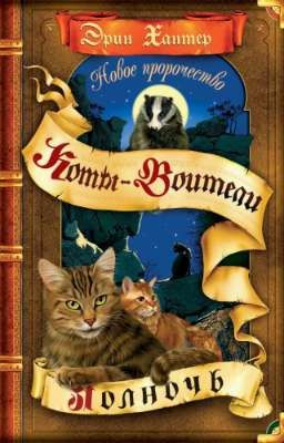 Полночь. Коты-Воитали 