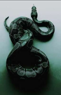 Всё же змея, ты, или человек?