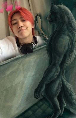 #SAVESEVENTEEN🚫🙏