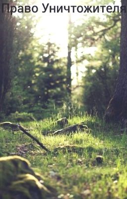 Право Уничтожителя