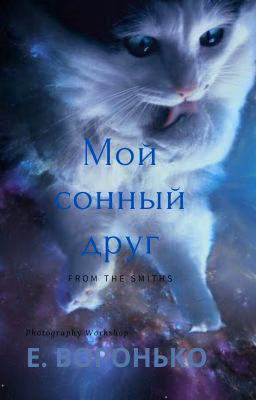 Мой сонный друг
