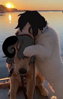 ( Yeosm ) . История о маге партизане