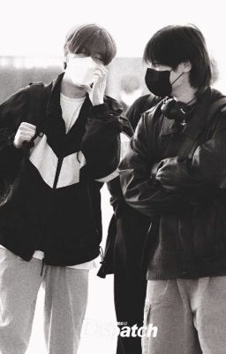 Я потерял тебя в цветах.