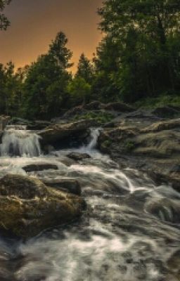 Короткий рассказ