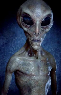 Борьба за выживание (продолжение "Апокалипсис")