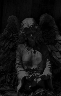 Звезда ничего не решает 