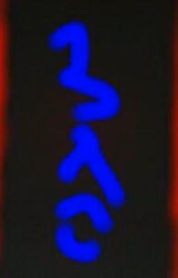 Zig Zag