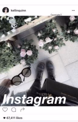 Instagram «kellic»