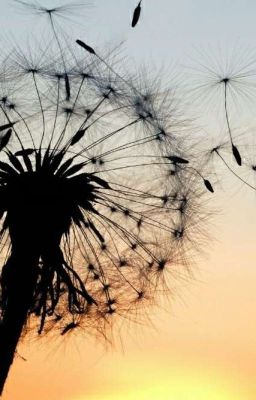 возможно ли счастье????