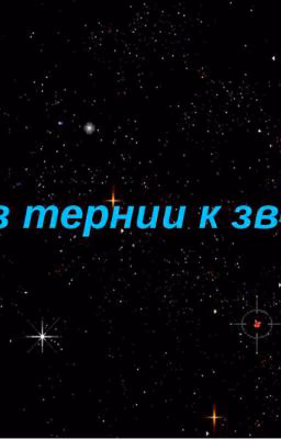 Через тернии к звёздам.