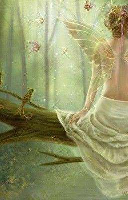 уневерситет Сианжи 